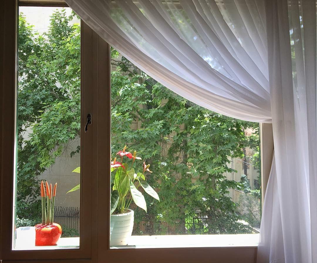 30 عکس پروفایل زیبا و شاد | عکس پروفایل انرژی مثبت